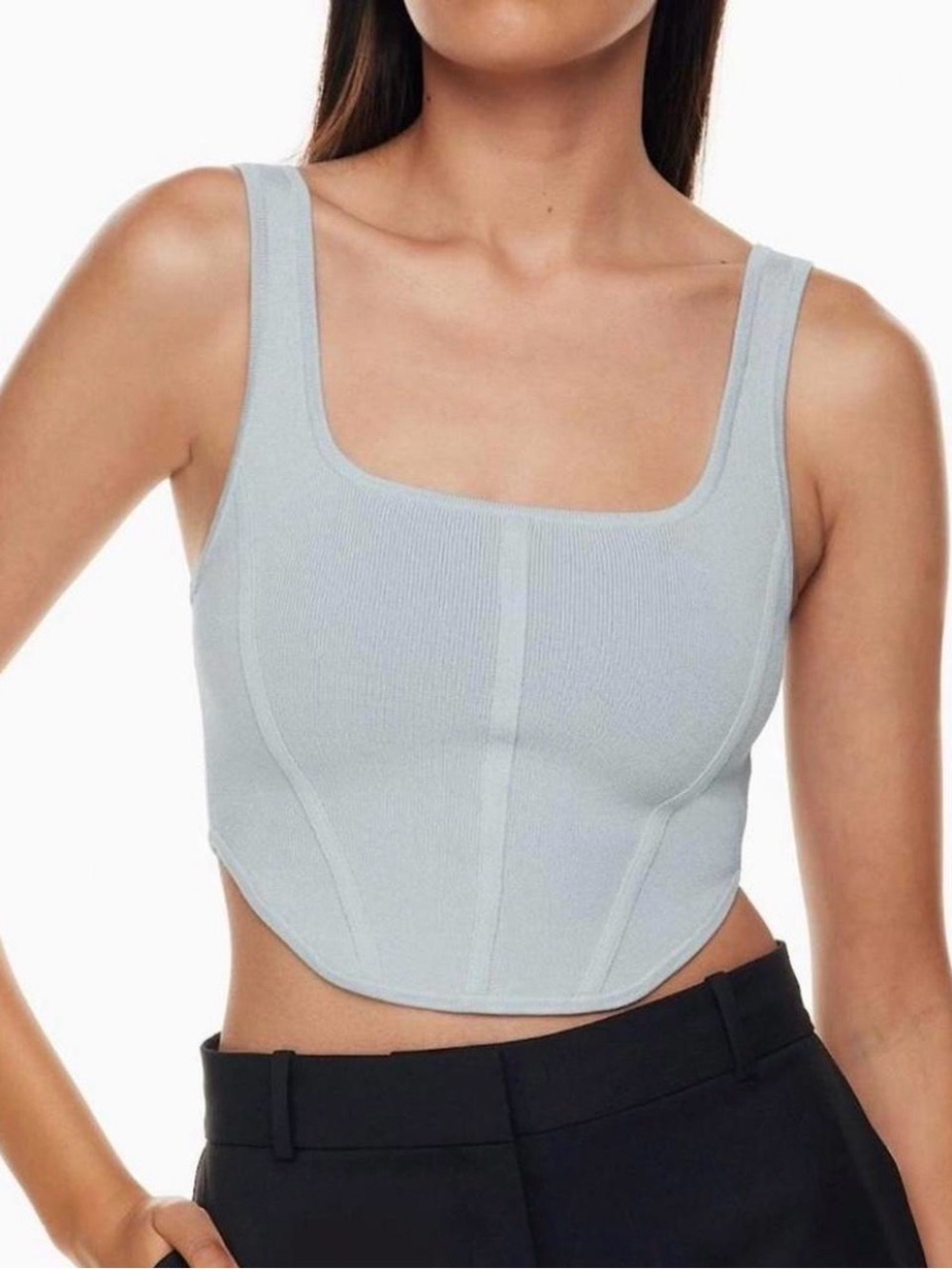 Aritzia Babaton Sculpt Knit Bustier in Light Blue